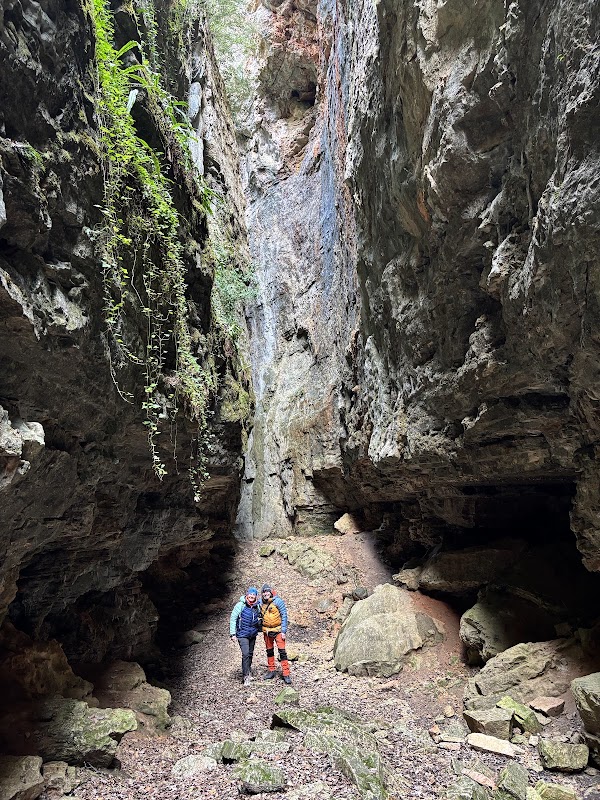 Avencs de la Febró 1
