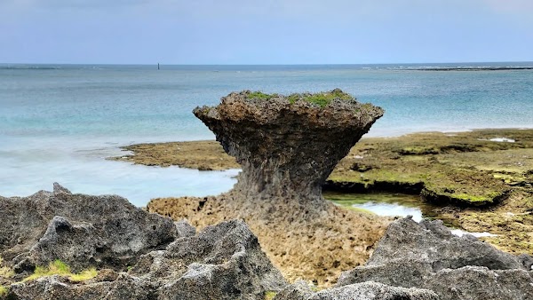 Ojima Island 1
