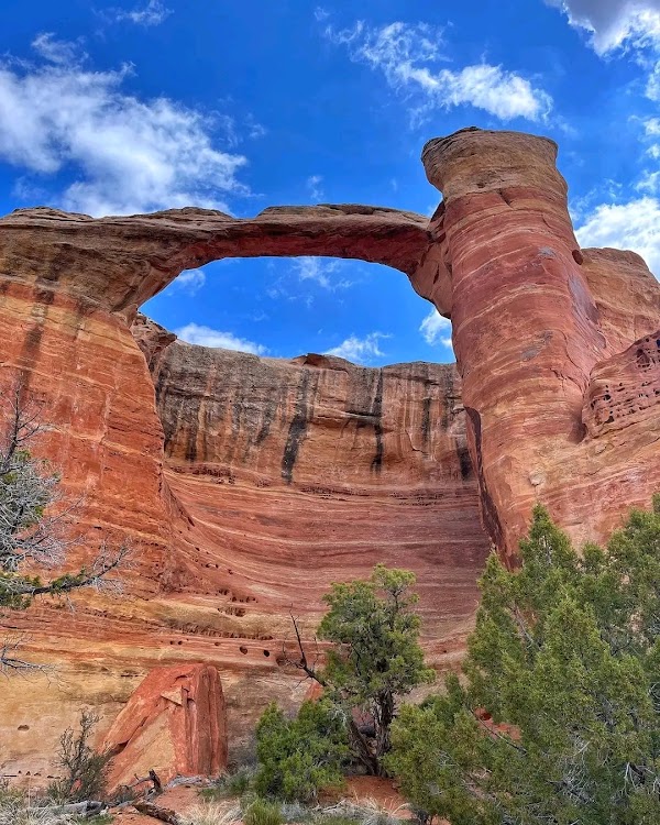 Rattlesnake Canyon 1