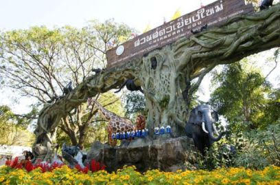 Chiang Mai Zoo 4