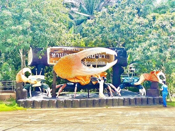 Thapom Klong Song Nam 4