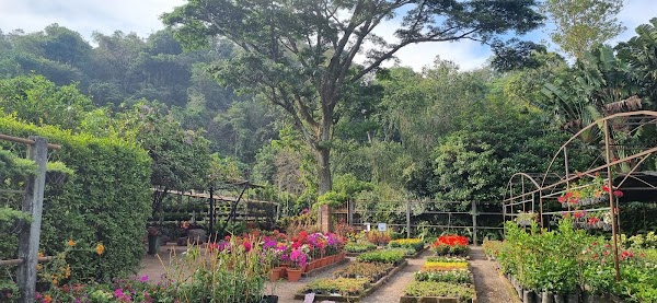 La Laguna Botanic Garden