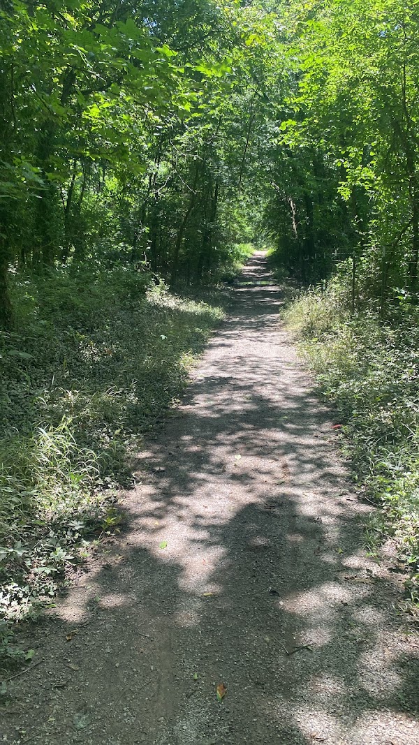 Wilderness Park