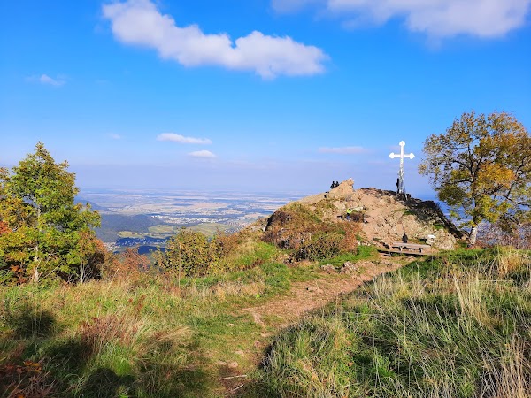 Hartmannswillerkopf 1