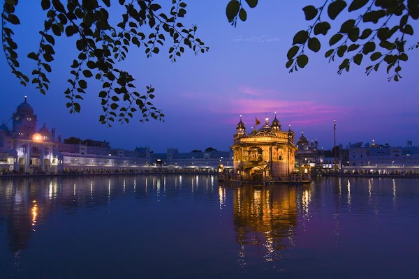 Madpackers Amritsar