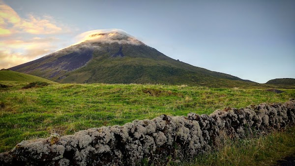 Pico