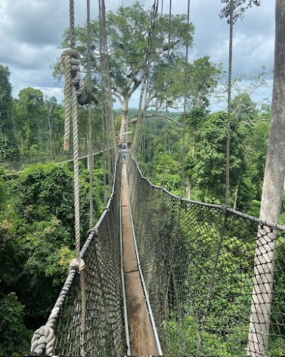 Kakum National Park