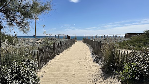 Indie Beach 3