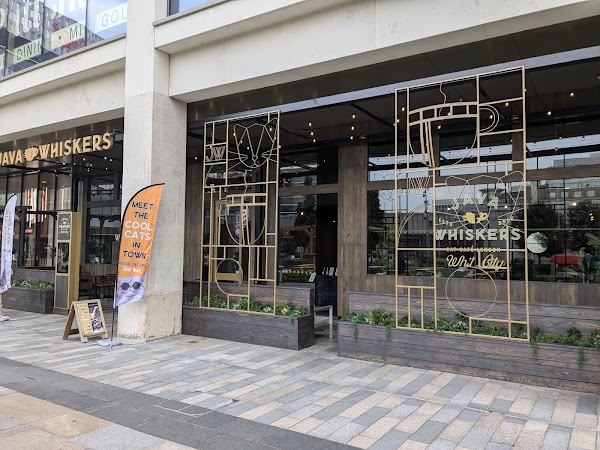 Java Whiskers Cat Café White City 1