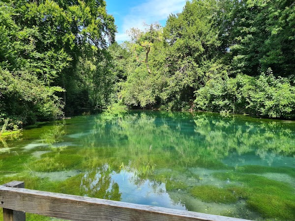 Silent Pool 1