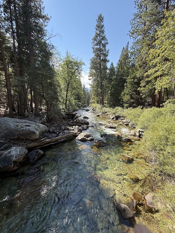 Zumwalt Meadow Forest