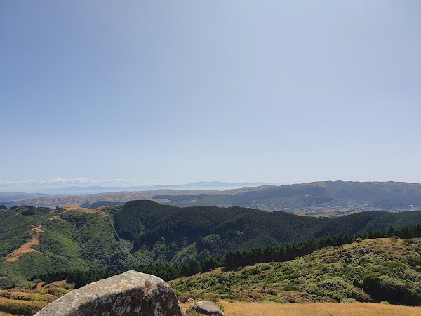 Belmont Regional Park 3