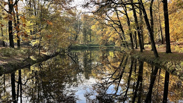 Wandelbos Groenendaal 3