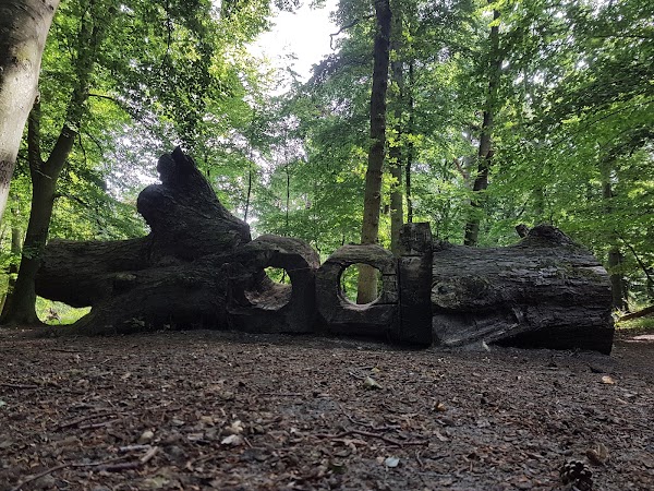 Wandelbos Groenendaal 2