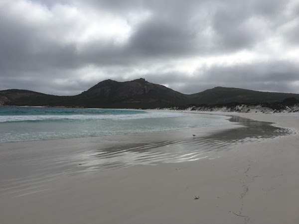 Thistle cove