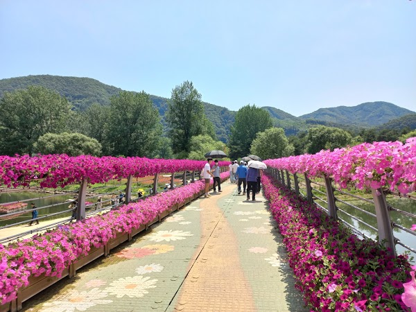 자라섬