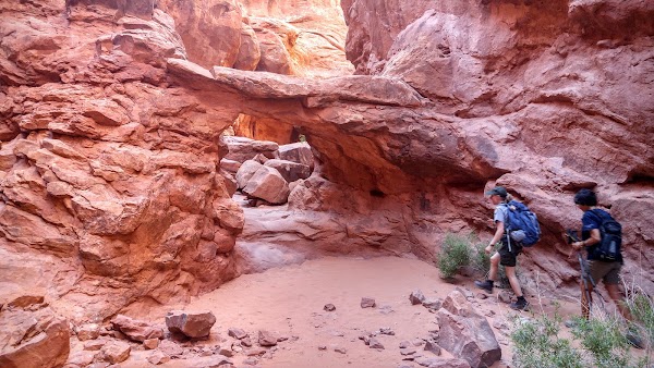 Fiery Furnace 5