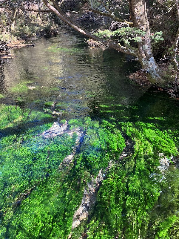 上高地の清水川 1