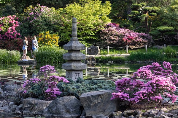 Japanese Garden 5