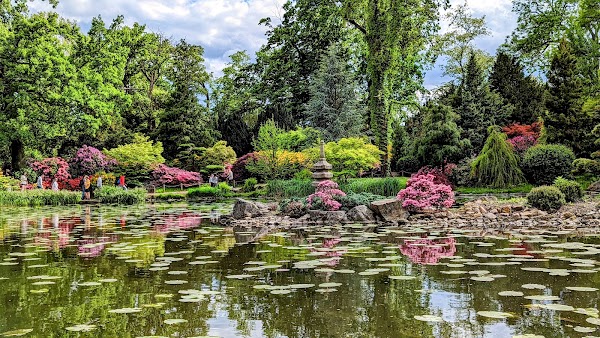 Japanese Garden 4