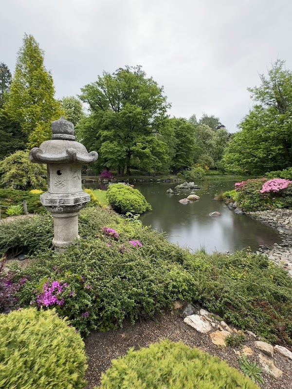Japanese Garden 2
