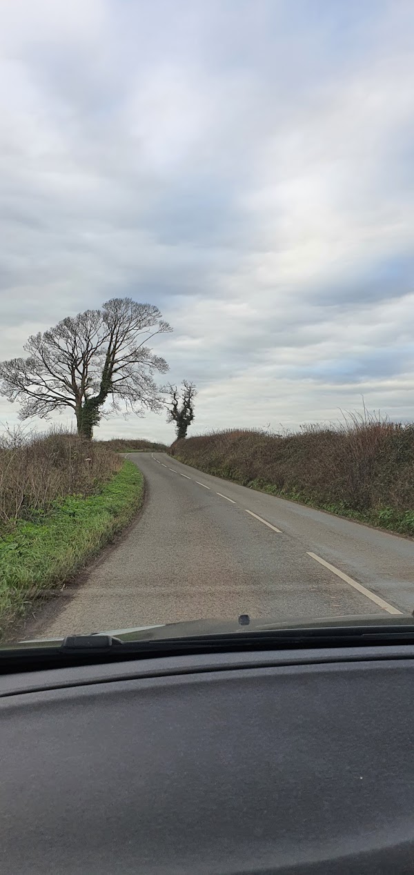 Berry Pomeroy 3