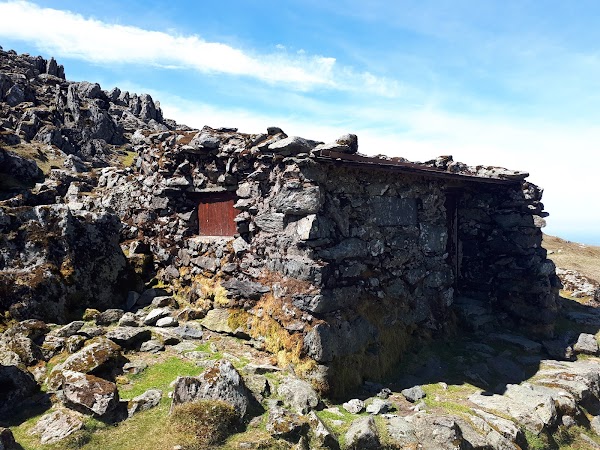 Foel Grach