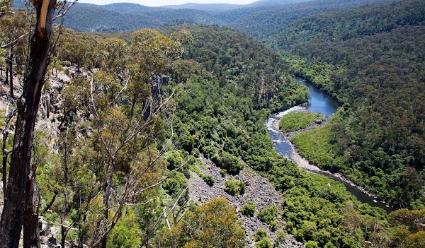 Mitchell River National Park