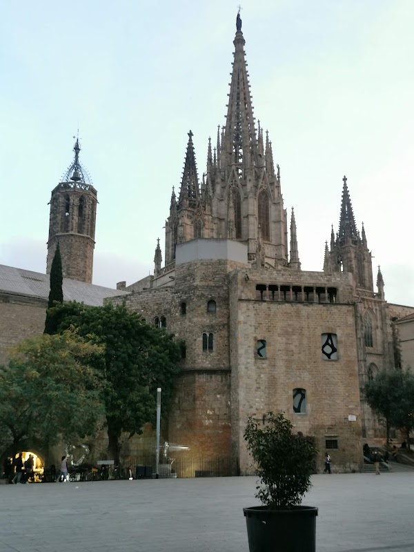 Cathedral of Barcelona 4