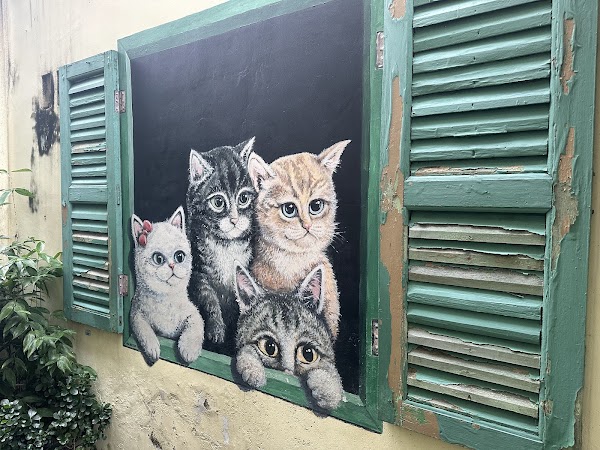 Street Art - Kittens in Window