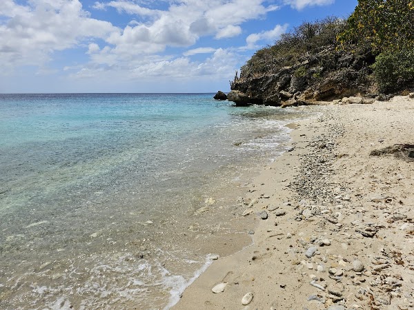 Playa Manzaliña 1