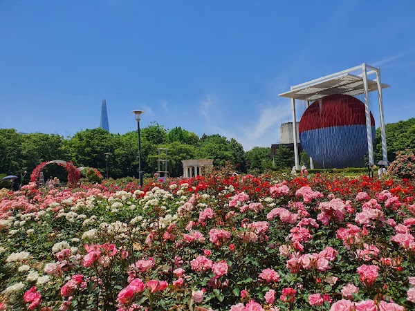 Olympic Park Rose Plaza 5