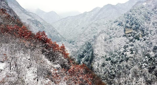 Qinling 1