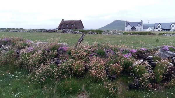 Ballydavid 2