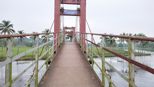 Manakkakadavu Hanging Bridge 4