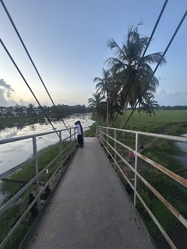 Manakkakadavu Hanging Bridge 3