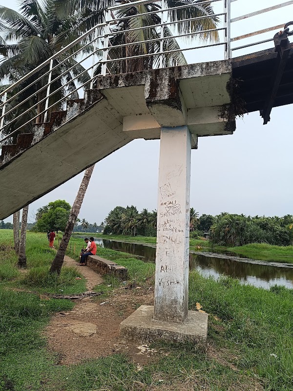 Manakkakadavu Hanging Bridge 2