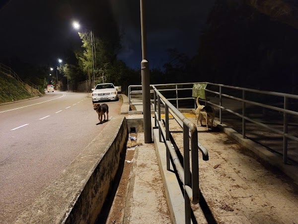 To Tei Wan; Shek O Road 2