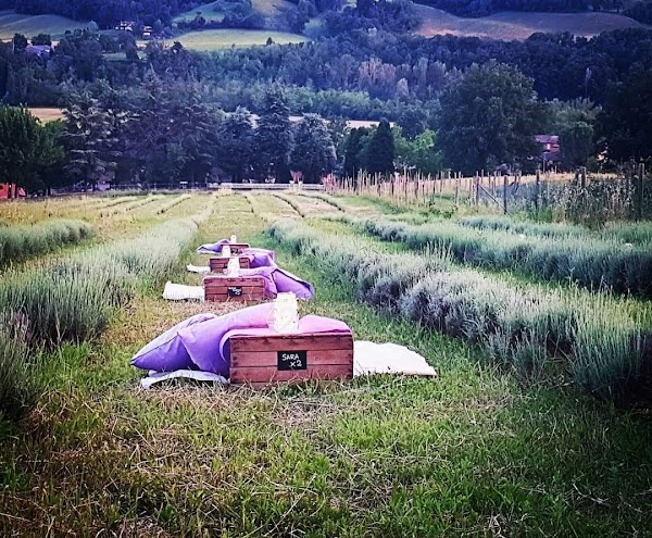 Azienda Agricola Ristorante Valtresinaro