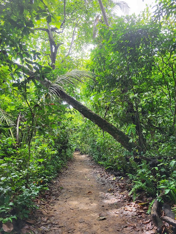 Parque Nacional Cahuita