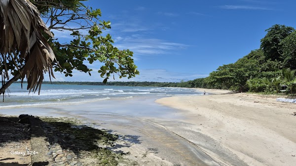 Parque Nacional Cahuita 5