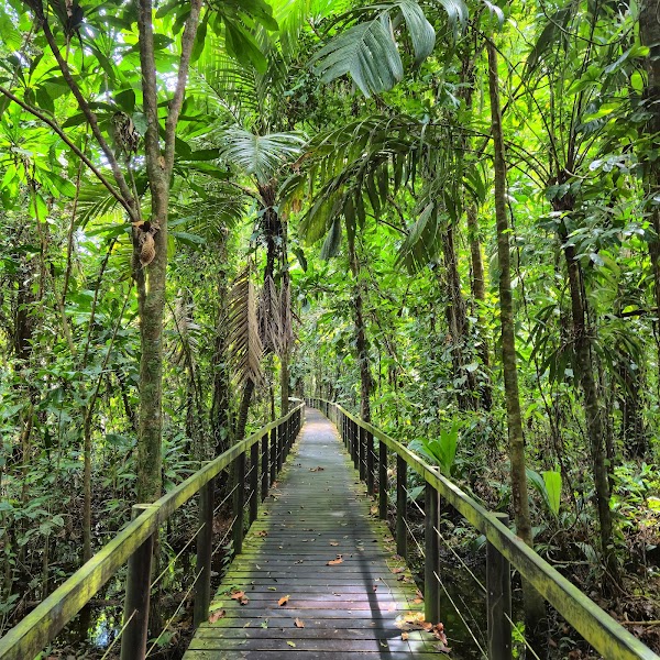 Parque Nacional Cahuita 4