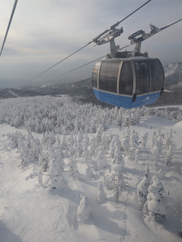 Zao Snow Monster Forest 3