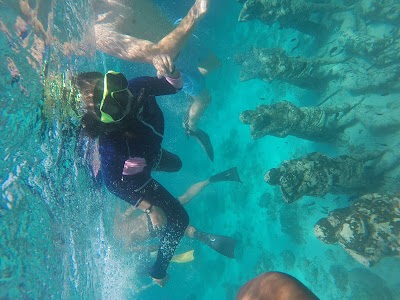 Bask Nest underwater sculptures