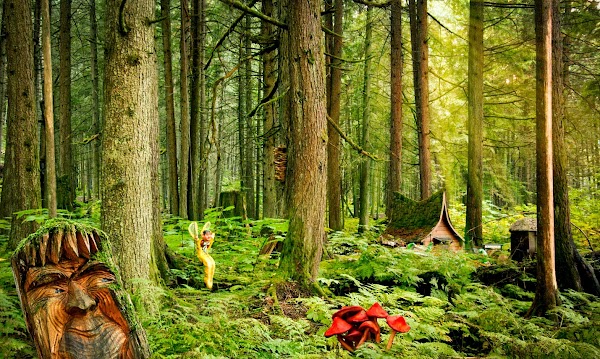 The Enchanted Forest