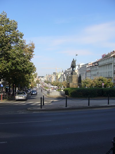 Wenceslas Square 1