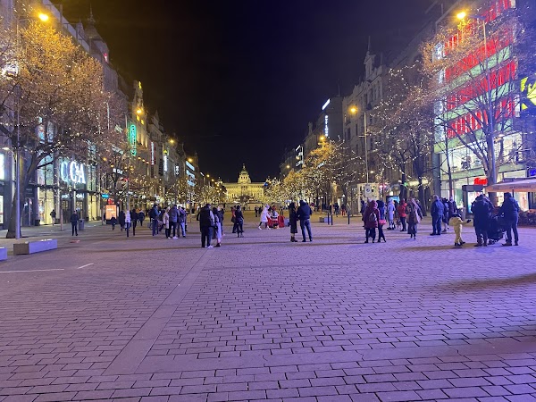 Wenceslas Square 4