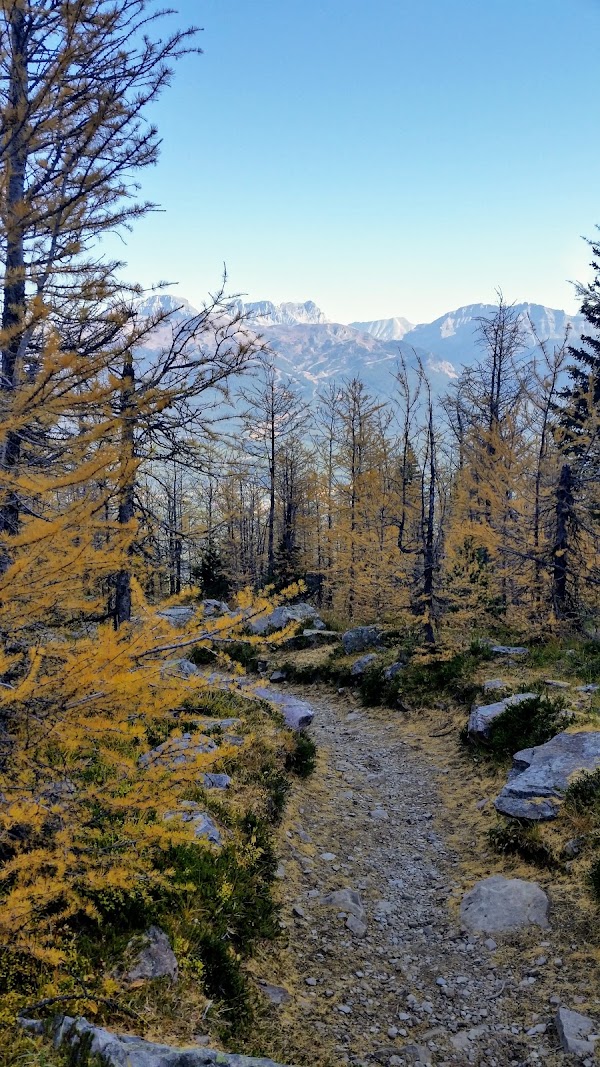 Saddleback Drive