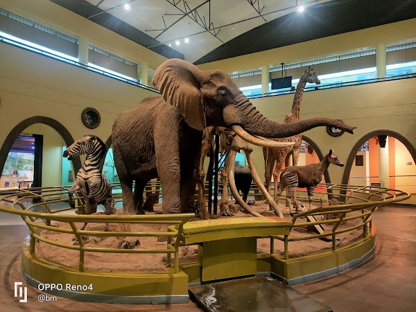 National Museum of Kenya 4