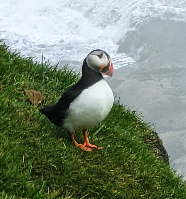 Tindhólmur 5